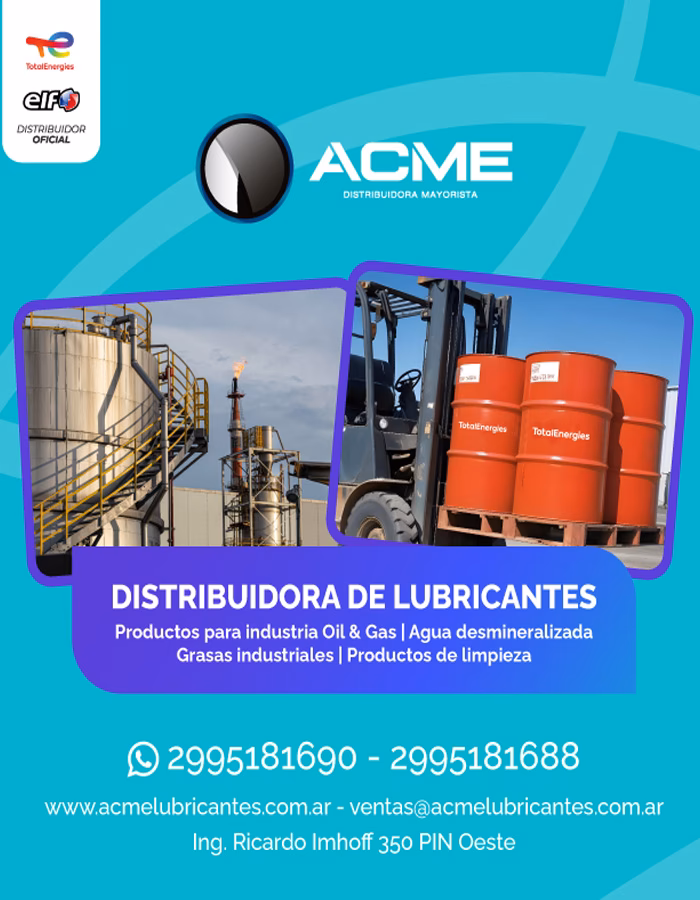 Who is the CEO of Acme Industries?