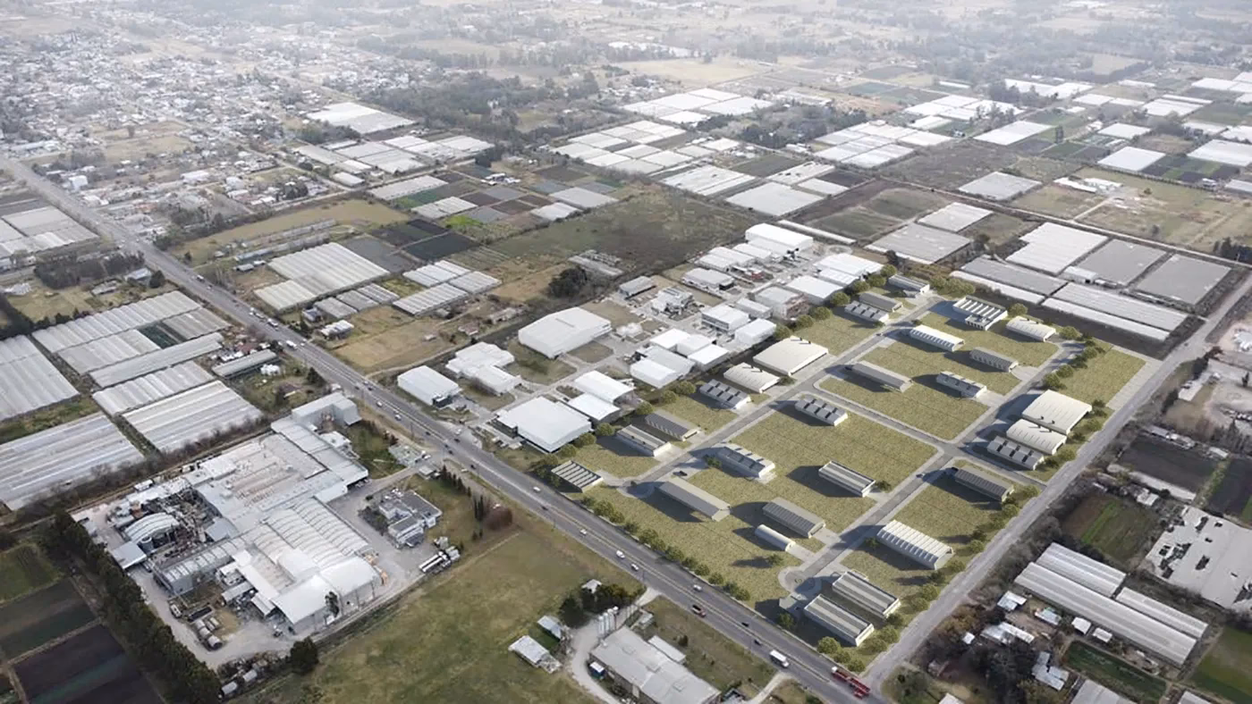 ¿Qué beneficios tiene la pastilla bagó?