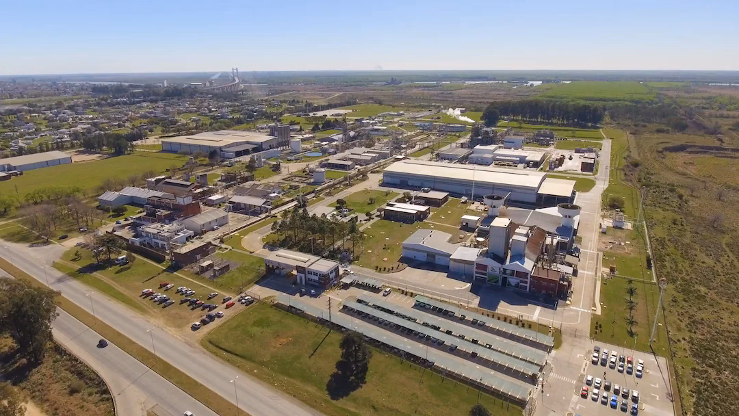 ¿Es Boehringer Ingelheim una buena empresa?