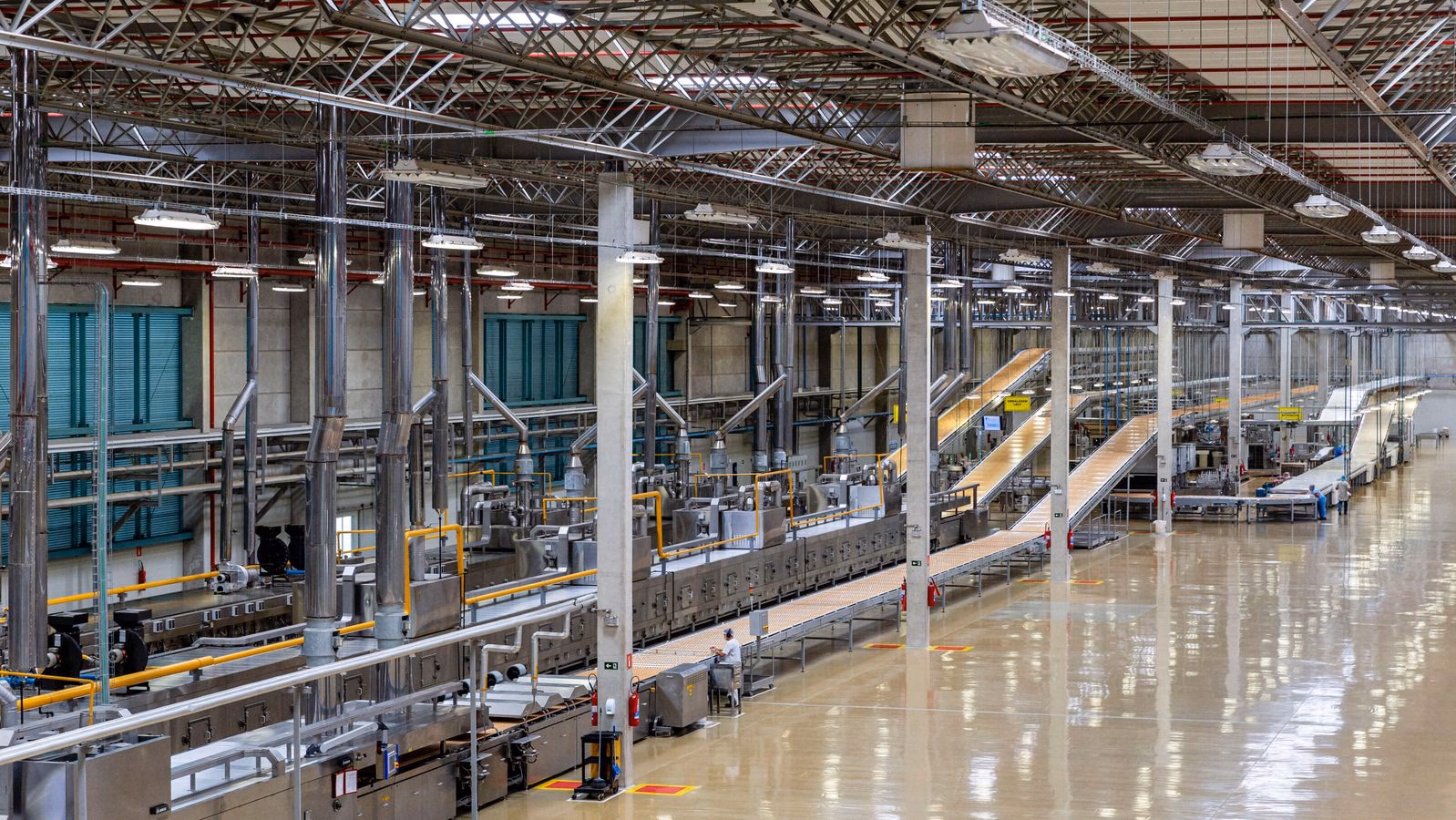 ¿Qué hace la empresa Buhler?