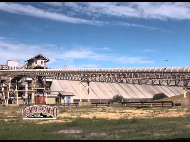 ¿Qué produce Bunge en ramallo?