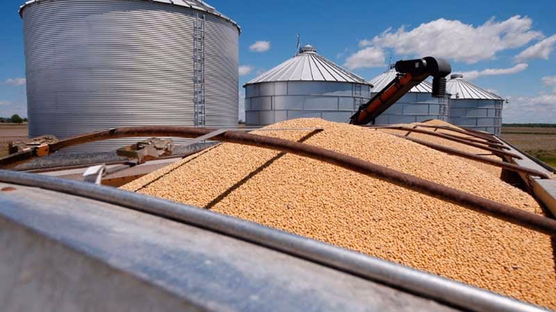 ¿Qué productos agroindustriales exporta Argentina?