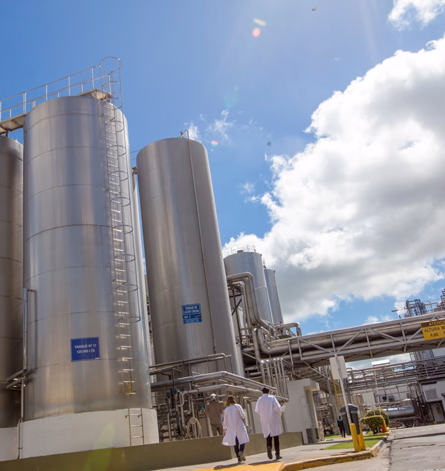 ¿Qué tipo de organización es La Serenísima?