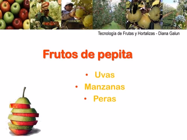 ¿Cómo se llama la industria de las frutas?