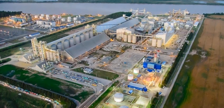 ¿Quién es el dueño de Renova?