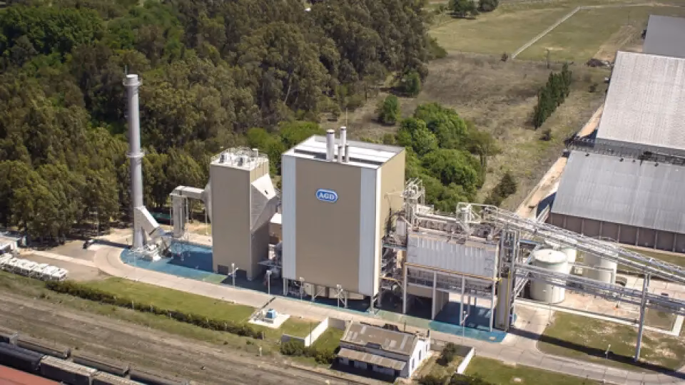 ¿Quién es el dueño de AGD?