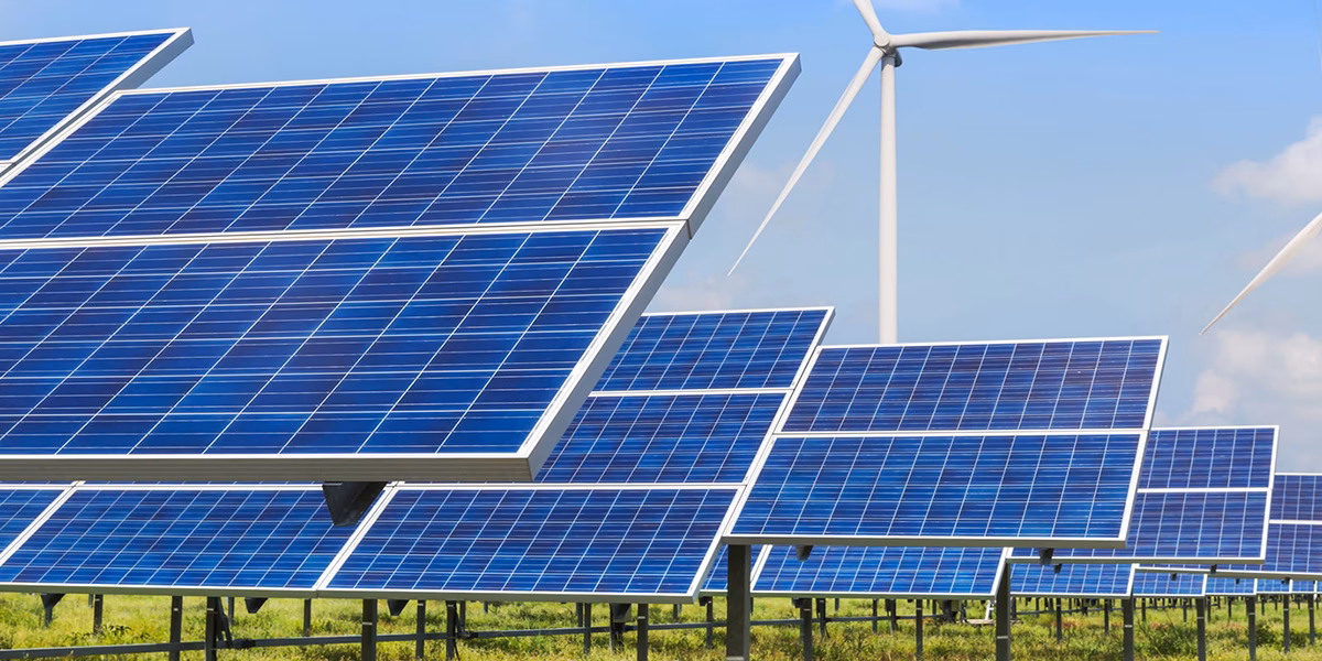 ¿Dónde va la energía de los parques eólicos?