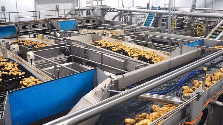 ¿Qué tan rentable es el negocio de papas fritas?