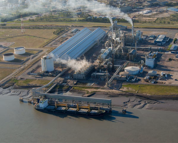 ¿Qué se produce en Bahía Blanca?