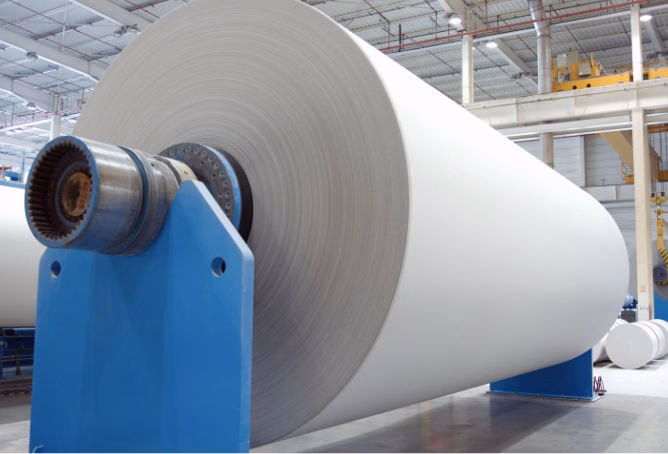 ¿Quién es el mayor productor de la industria papelera?