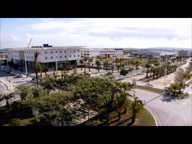 ¿Cuántas empresas hay en el polígono de Torrellano?