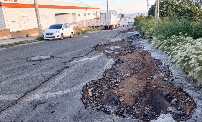 ¿Cuáles son los sectores industriales que representa CANACINTRA?