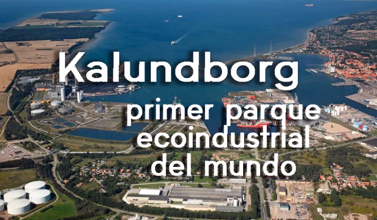 What is the theory of industrial symbiosis?