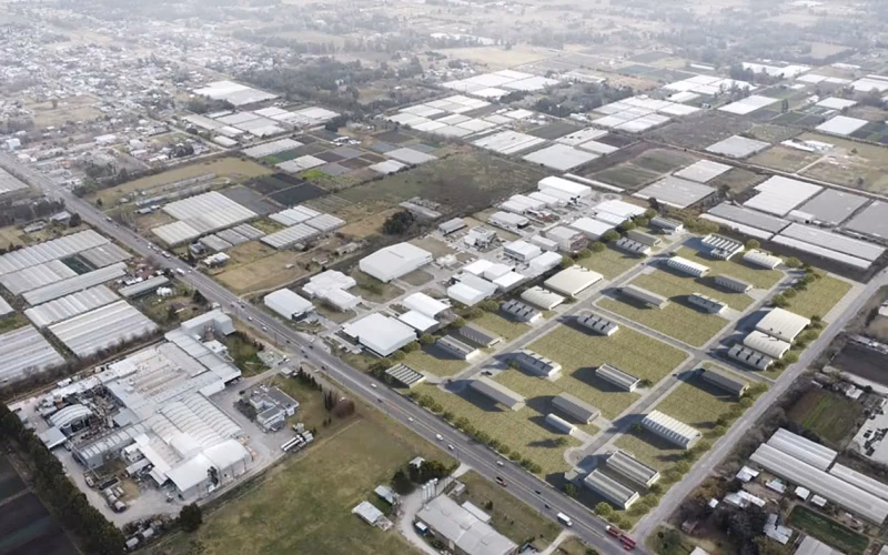 ¿Qué micro me deja en abasto La Plata?