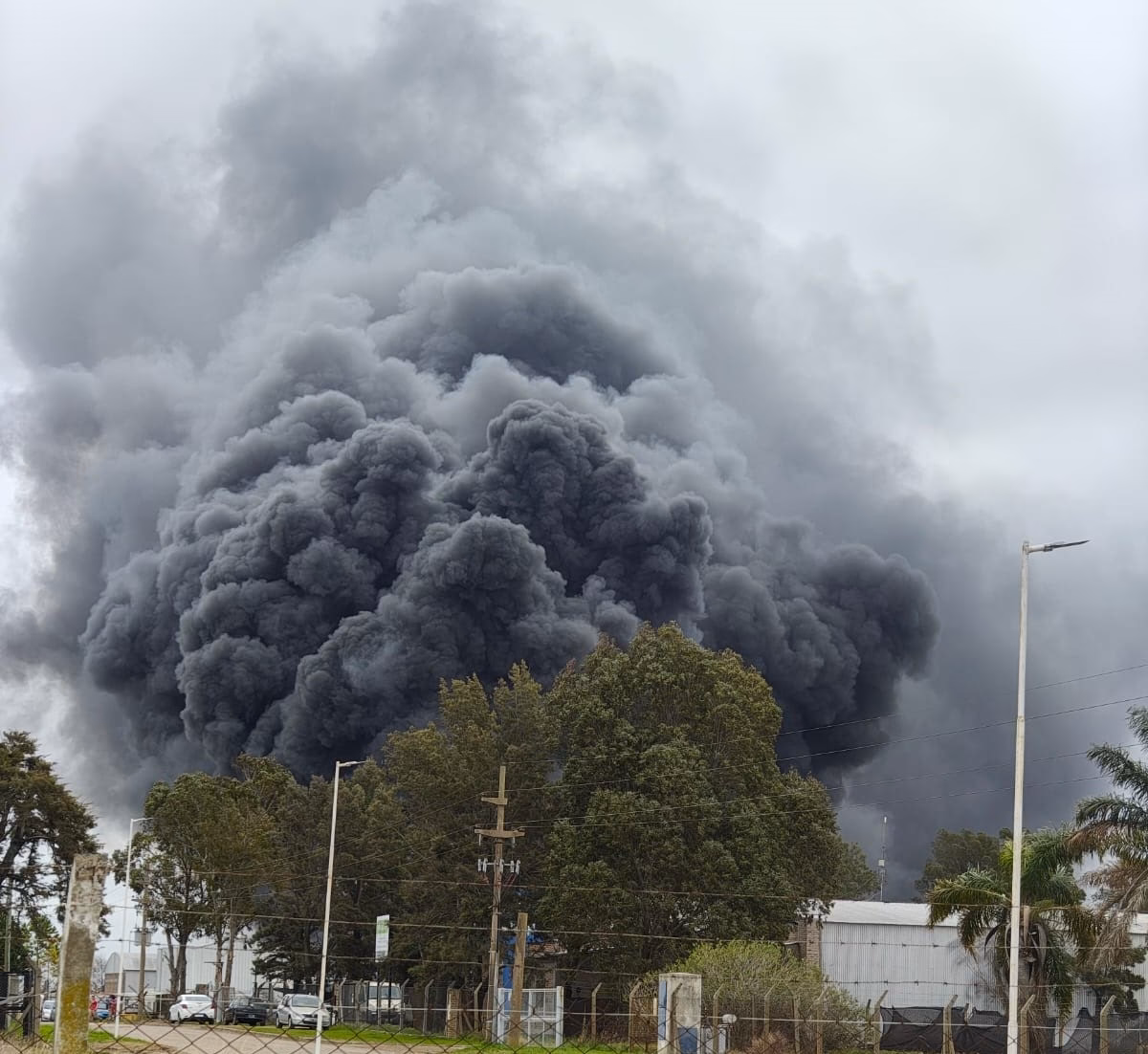 ¿Qué causa la mayor contaminación en Industrialist Roblox?