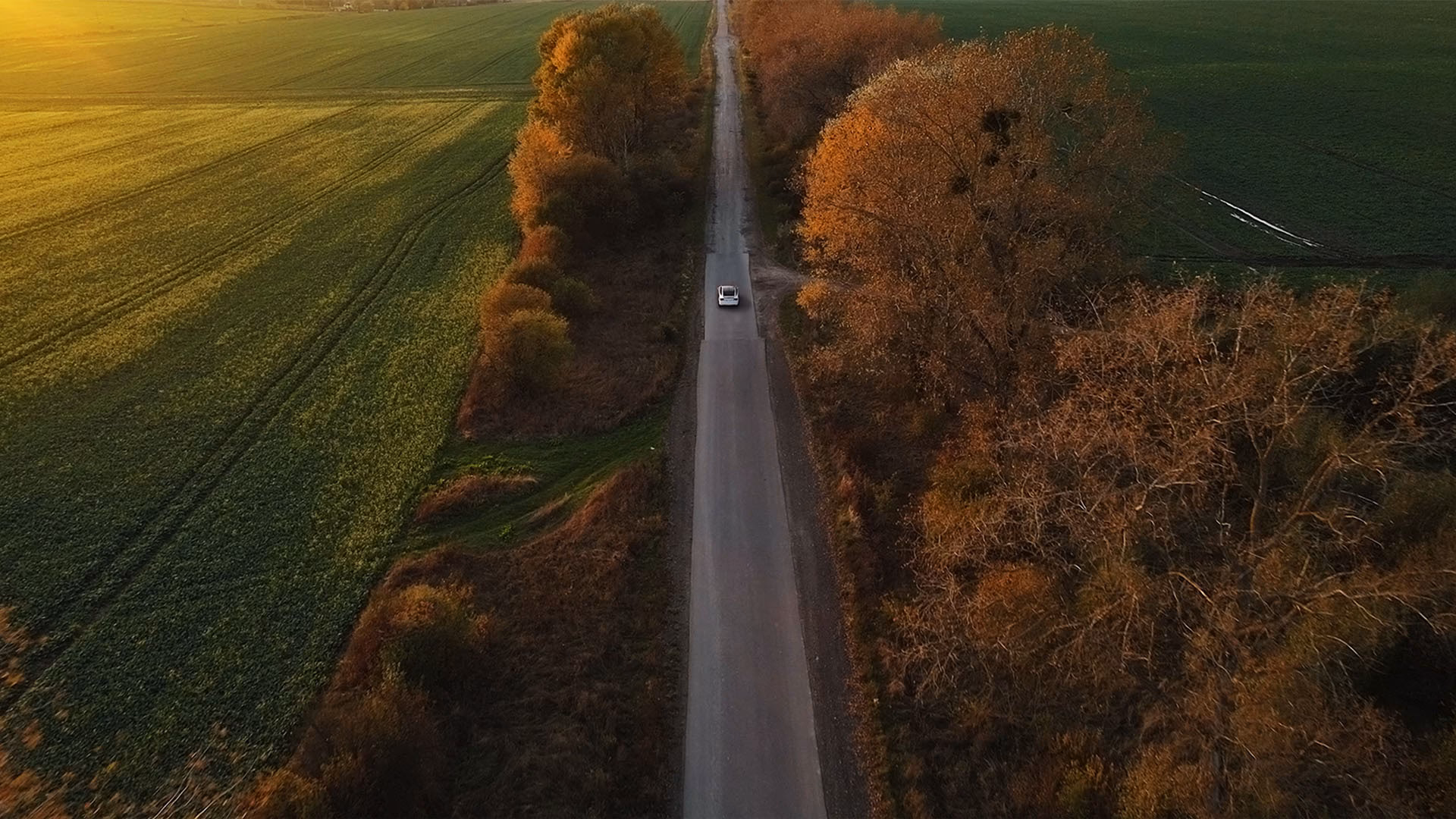 How many employees does Armstrong International have?