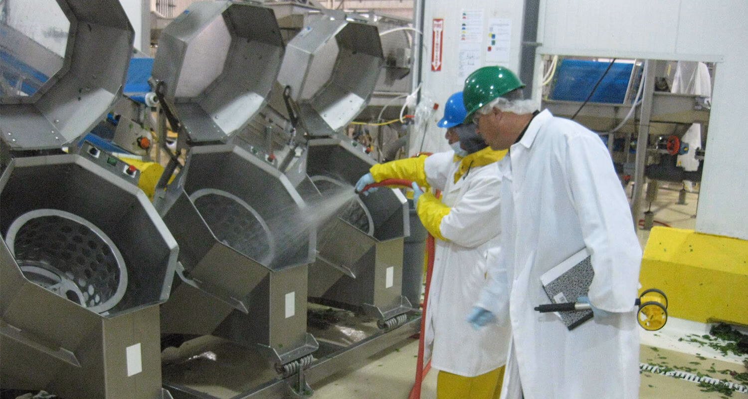 ¿Cómo es la alimentación en el sur de México?