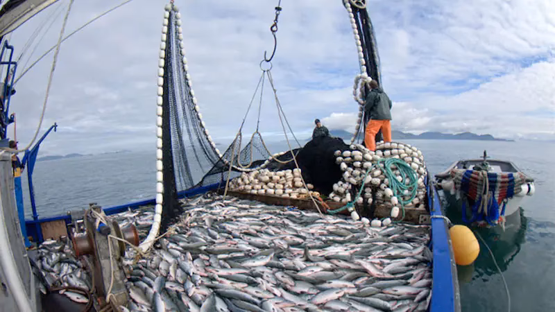 ¿Tiene Chile una gran industria pesquera?